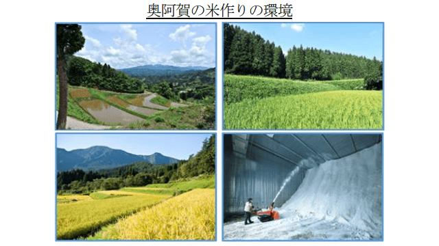 前澤ホールディングス（575A）の株主優待